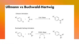 Buchwald-Hartwig and Ullmann amination reactions