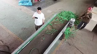 PET Strap Shredding , PET Waste Shredder Machine