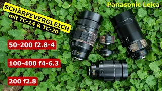 Panasonic Leica 50-200 f2.8-4 vs. 100-400 f4-6.3 vs. 200 f2.8 | Schärfetest und Vergleich