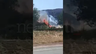 Φωτιά στην περιοχή Πλατιά Όψη Μακρυλιάς στην Ιεράπετρα