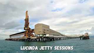 Bull Sharks Love This Place / Fishing Lucinda Jetty