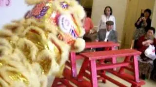 Lion Dancers2.MOV