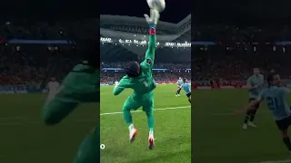 Goalkeeper Saves🥵 WorldCup2022⚡