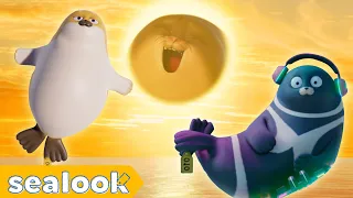 Here comes the Sun! : Summer Solstice Special | SEALOOK | Episodes Compilation