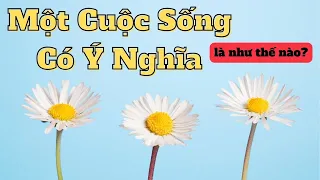 Bạn Đang Có Một Cuộc Sống Ý Nghĩa Thật Sự Chưa? Ý Nghĩa Là Thế Nào? Liên Hồng Phúc