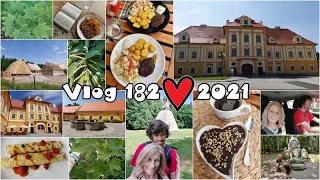 Vlog 182/21 - recepty a výlet Borovany, Trocnov