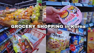 Grocery Shopping in Korea | New Year Grocery with Prices | Shopping in Korea | Korean Supermarket