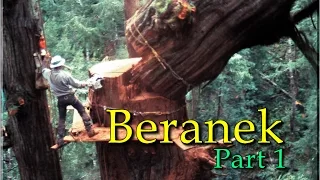 Beranek Part 1