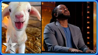 Simon Cowell's DOGS perform in Kevon Carter's HILARIOUS audition | Auditions | BGT 2024