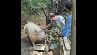 B2P039 David Richter (VGT) - Mit Ruhe und Megafon auf der Seite der Tiere