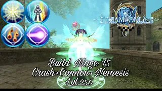 Build Mage Nemesis+Tier 5 skill lvl.250 - Toram Online