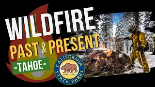 Tahoe Wildfires - the Past and the Present