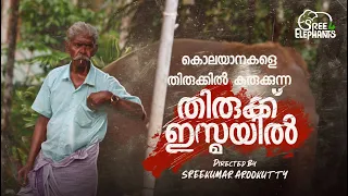 ആനലോകത്തെ കിടുക്കാച്ചി മുതൽ.... ആനപ്പണിയിലെ അത്ഭുത മാന്ത്രികൻ ...!