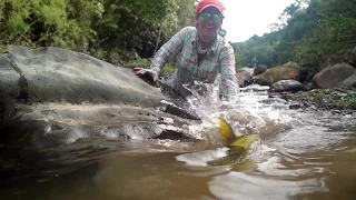 Tsimane 3X "Just Fish Porn" S01E01