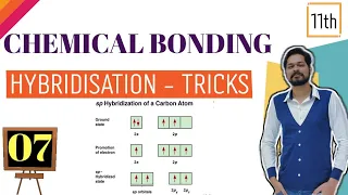 Chemical Bonding । Class 11 (L7) । Trick for Hybridisation । Odd e molecules । %S,p,d characters