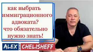 Как Выбрать Иммиграционного Адвоката для Политического Убежища в США: Гид