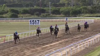 Gladstone 20240525 Race 5