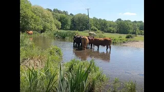 The River Test at Stockbridge, Hampshire