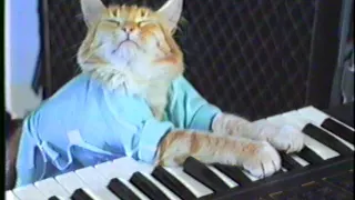 KEYBOARD CAT ORIGINAL CLIP 1984