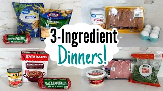 The EASIEST 3 Ingredient Dinners | Quick, Tasty, & Cheap Meals MADE EASY! | Julia Pacheco