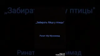 ,,Забирать Яйцо у птицы" Ринат Абу Мухаммад