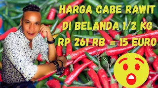 Harga cabe Rawit di Belanda 1/2kg  Rp.261rb = 15 euro .. menjerit Bathin gue Belinya