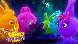 Brillo en la oscuridad | Las Aventuras de Sunny Bunnies | Dibujos para niños