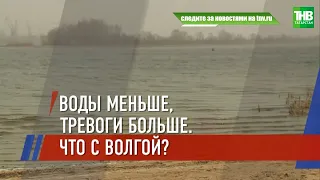 Волга обмелела: по сравнению с прошлым годом уровень воды в Куйбышевском водохранилище ниже на 1,5 м