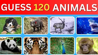 Guess 120 Animals in 5 Seconds | Easy, Medium, Hard, Impossible