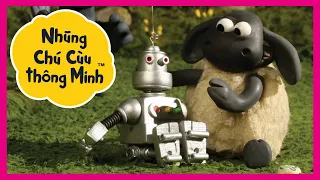 Con chim ác - Bắt Pidsley | Mùa 2 Tập đầy đủ | Những Chú Cừu Thông Minh