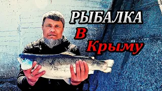🔴ОНА ЗАСТАВИЛА МЕНЯ ПОПОТЕТЬ! Морская Рыбалка на Форель в Черном Море