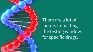 Top Drug Testing Myths Debunked