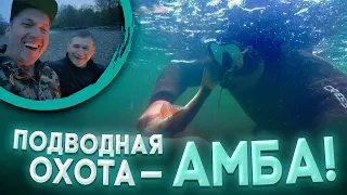 Подводная охота -Амба!