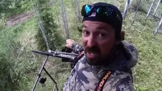 SOA 15 37 Saskatchewan Black Bear Hunt