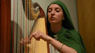 Many Meetings (The Lord Of The Rings - The Fellowship) | Harp Version