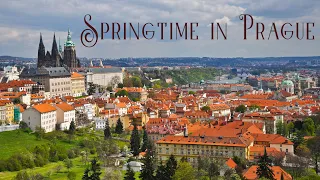 Springtime in Prague