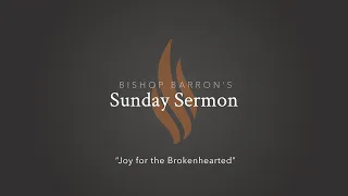 Joy for the Brokenhearted — Bishop Barron’s Sunday Sermon