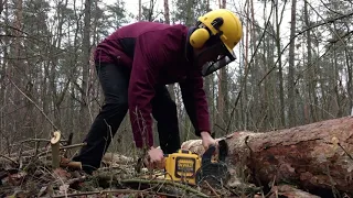 РЕАЛЬНЫЙ ТЕСТ DeWALT DCM575X1. Аккумуляторная пила с шиной Oregon и цепью STIHL