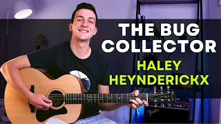 The Bug Collector (Haley Heynderickx) Guitar Lesson | Fingerstyle Guitar Tutorial