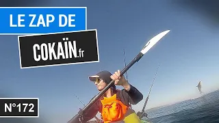 Le Zap de Cokaïn.fr n°172