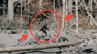 Top 15 Most Convincing Bigfoot Or Sasquatch Sightings Caught on Tape Ever