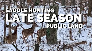 Late Season Public Land Hunting - 2022 Ohio Whitetail Archery Season - Vlog #9 - Blue Paw Outdoors