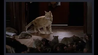 Willard (2003) - One Cat Vs. 1000 Rats