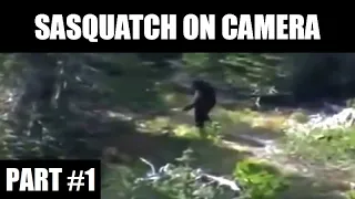 Sasquatch on Camera Compilation - Part 1 BIGFOOT SASQUATCH YETI