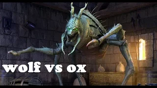 Wolf VS Ox | Elder Scrolls Legends