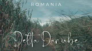 Danube Delta 🇷🇴 | Explore the Water Maze