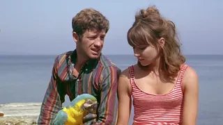 Pierrot le fou, by Jean-Luc Godard (1965) - Qu'est ce que je peux faire ? J'sais pas quoi faire...