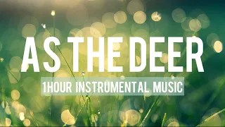 As The Deer | 1 Hour Instrumental Music | Healing Music #5