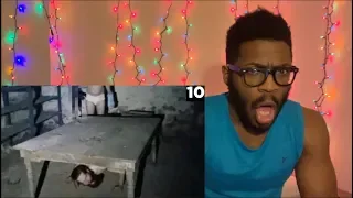 Top 15 Scary Dark Web Stories REACTION!!!!