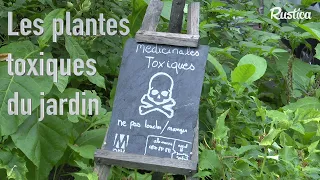 Des plantes toxiques au jardin